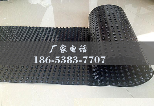 排水板廠(chǎng)家http://m.sdkuangcheng.com/
