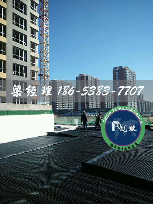 排水板廠(chǎng)家http://m.sdkuangcheng.com/
